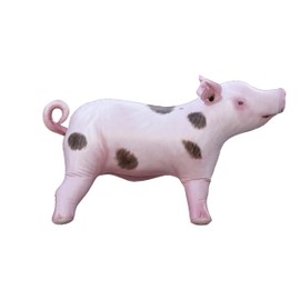 Cerdo inflable, decoraciones para fiestas de cumpleaños, regalos temáticos de granja de vaquero y vaquera, decoración de jabalí, inflables para Fiestas Globo de cerdo, divertido señuelo de cerdo