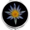 NewCharms Blue Flower on Black Compact with Mirrors - Perfect