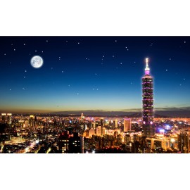 Pintoo Jigsaw Puzzles 1000 Piece for Adults - Taipei Skyline Beautiful Plastic Puzzle for Home Decor Zero Dust Easy Storage [H1719]