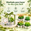 48pzs Velas Cactus Aromaticas Suculento Decorativas Con Caja