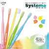 DENT.EX Systema Toothbruth, Set of 4, Assorted