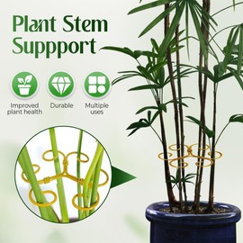 Clips de Plantas, Fijadores de Plantas, Estabilizadores de Plantas para Plantas de Interior, Accesorios de Planta de Interior, Soporte de Plantas, Soportes de Vástago de Plantas (10PC-A)