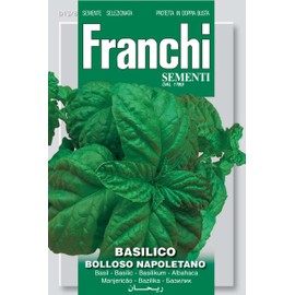 Franchi Basil Bolloso Napoletano