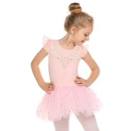 Zaclotre Kid Girls Ruffle Sleeve Ballet Skirted Leotard Shiny Dance Tutu Dresses