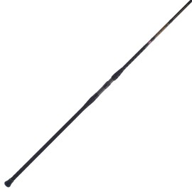 PENN Fishing Squadron III Surf Conventional Fishing Rod, Titanium/Red/Gold, 12' - Heavy - 2pc (SQDSFIII2040C12)