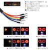 MFC PRO Taillight Motorcycle Brake Light Turn Signal with License