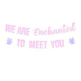 We are Enchanted to Meet You Banner, Pastel Pink Welcom Party Banner for It's a Girl Baby Shower Party Decoration