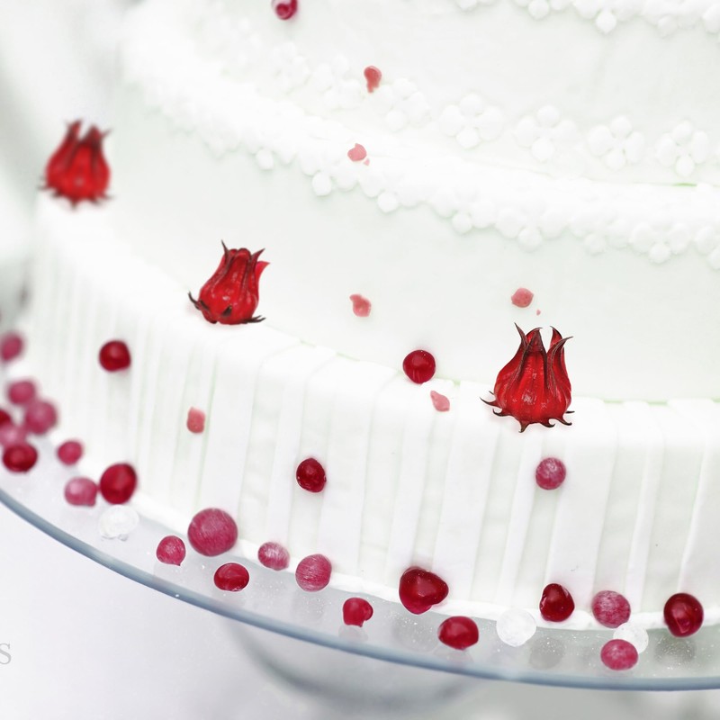 Wild Hibiscus Flowers in Syrup | 50 Edible Flowers Per