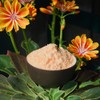Acerola powder with 17% Natural Vitamin C, , ,