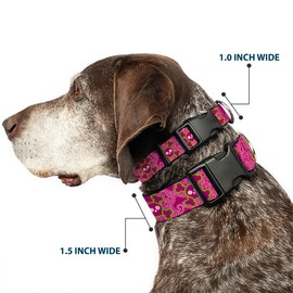 Buckle Down-Down Plastic Clip Collar - Cute Skulls w/Paisley Purple/Pink/Green - 1/2" Wide - Fits 9-15" Neck - Large
