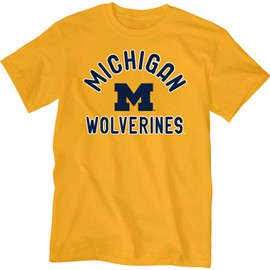 Blue 84 Men's Michigan Wolverines T Shirt Line Up Secondary Color, Michigan Wolverines Gold, Large