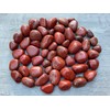 GAF TREASURES Wholesale Red Jasper Tumbled Stones, Polished Red Jasper