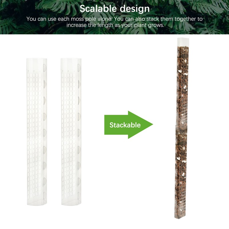 Plant Plastic Moss Pole Moss Supports Climbing Plant Poles Tortoise