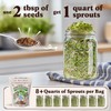 Seedboy Organic Non-GMO Sprouting Seeds, Immune System Booster - USA