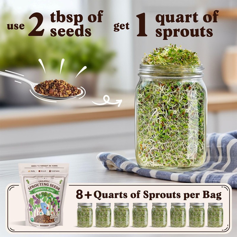Seedboy Organic Non-GMO Sprouting Seeds, Immune System Booster - USA