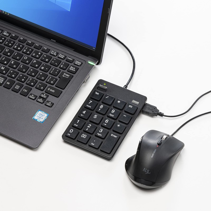 Sanwa Supply NT-18CUHBK USB Numeric Keypad (with Type-C Connector and