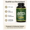 Plantomol® Basics Turmeric Capsules High Dose with Boswellia Frankincense Extract