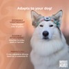 Max & Molly Matrix 2.0 Ultra LED, Dog Light, Leash