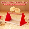 POMINEL Chick Brooder Box Starter Kit, Plastic Baby Chicken Feeder