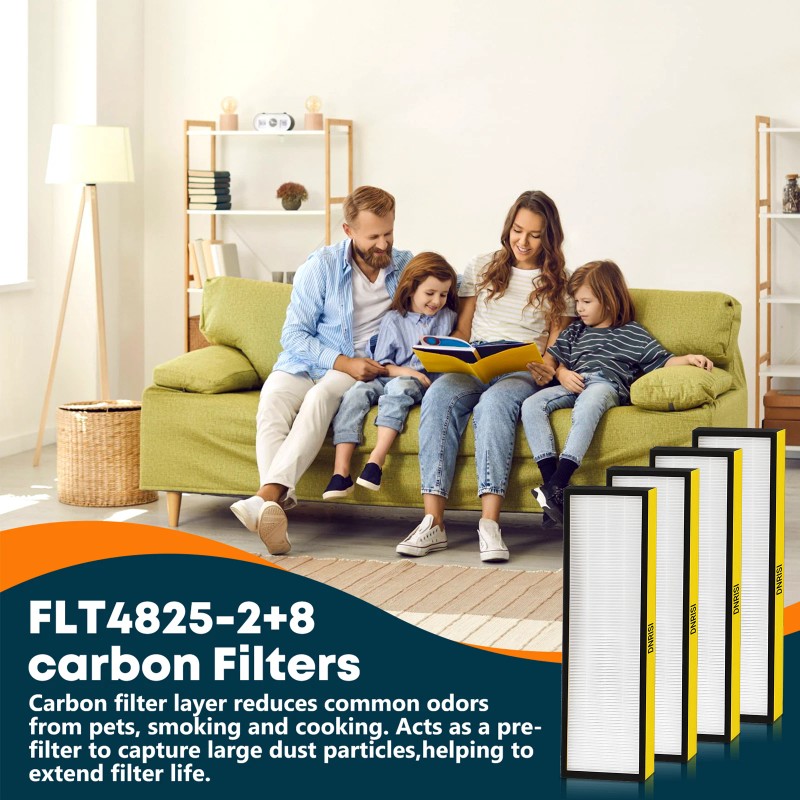 DNRISI 2 Pack DNRISI FLT4825 HEPA Filter B Replacement Compatible