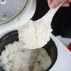 Giantree 2 Pcs Plastic Rice Paddle, White Rice Spoon Non-Stick