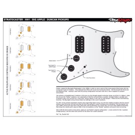 ToneShaper Wiring Kit, Stratocaster, Big Apple (HH1)