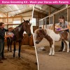Kit De Aseo Para Caballos 9 Herramientas Bolsa Organizadora