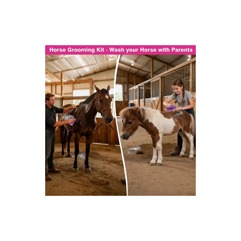 Kit De Aseo Para Caballos 9 Herramientas Bolsa Organizadora