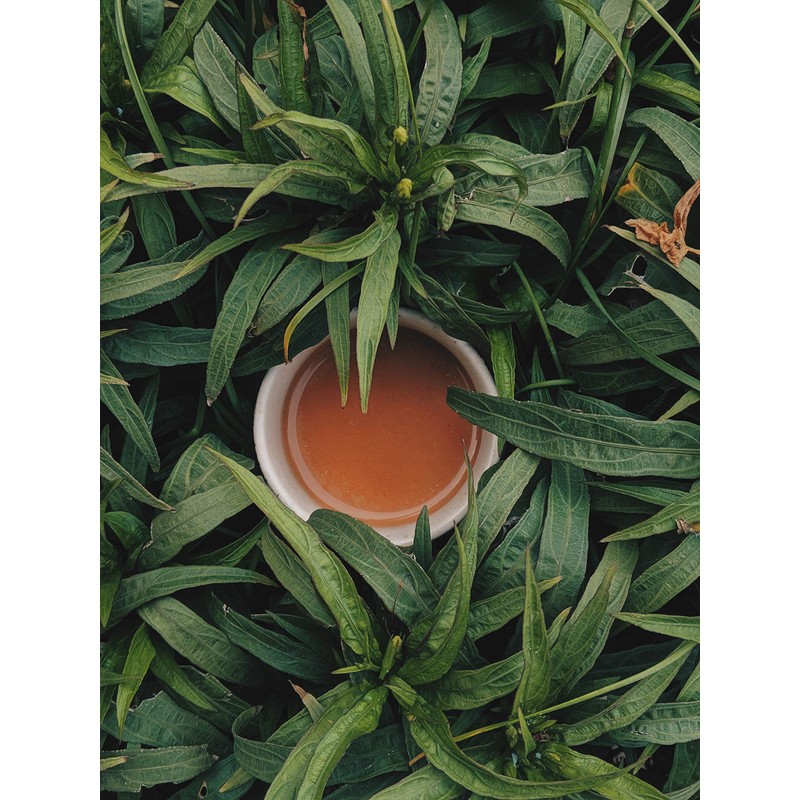 Organic Reishi Powder 500g Vital Mushroom 100% Natural