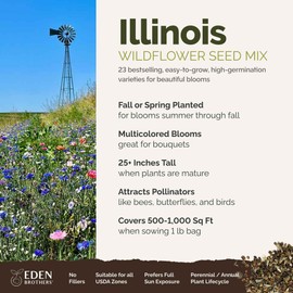Eden Brothers Illinois Wildflower Mixed Seeds for Planting, 1 lb, 480,000+ Seeds with Cosmos, Blanket Flower | Attracts Pollinators, Plant in Spring or Fall, Zones