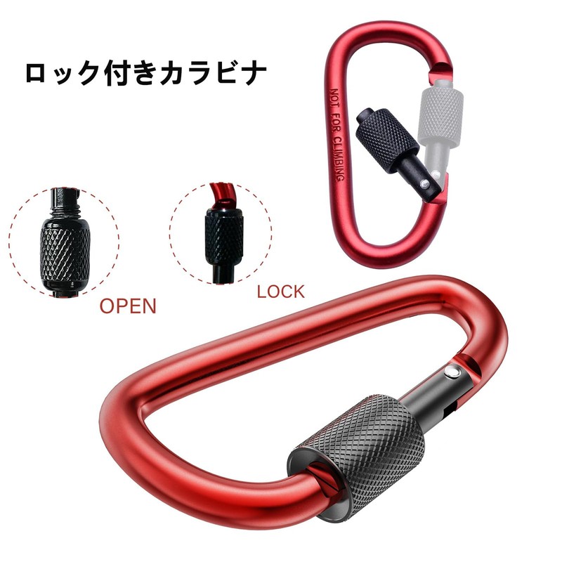DGSHUIJIE Insta360 X4/X5 Compatible Storage Case with Carabiner, EVA Hard