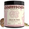 Commons Hongos Adaptógenos - Suplemento de Hongo Cola de Pavo 120 Cápsulas s - Extracto 100% Natural