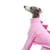 ESCCBOO Italian Greyhound & Whippet Dog Fleece Dinosaur Onesie, Cozy