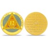 12 Month Sobriety Coin - AA Chips and Medallions with