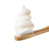 AntiPlaque Toothpaste with Coconut Oil