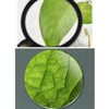 15X Magnifying Glass, Portable Handheld Magnifier for Reading, Low Vision
