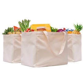 3 Pack Canvas Shopping Bags for Groceries, Holds 60 lbs Heavy Duty Reusable Canvas Grocery Bag, 8.3 gal Multi-Purpose Washable Canvas Grocery Bags Reusable Shopping Bags with 5 Pockets, Off white