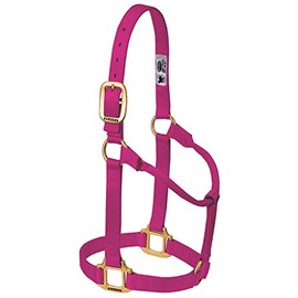 Weaver Leather Original Non-Adjustable Nylon Horse Halter, Raspberry, Yearling