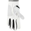 FootJoy GT Extreme Men's Golf Gloves, multicolor (white / black)