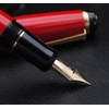 xixixiaozhu Metal Big Fountain Pen Set Medium Nib 0.7mm, Includes
