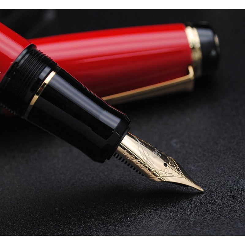 xixixiaozhu Metal Big Fountain Pen Set Medium Nib 0.7mm, Includes