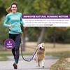 Tuff Mutt Hands Free Dog Leash for Walking Running Hiking,