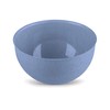 Koziol PALSBY M Organic Bowl 2 L