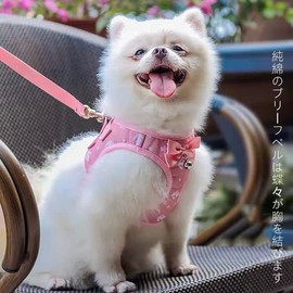 Aibnoshy Black3 Lead Harness Set of 2 Cats, T-shirt, Dog Clothes, Torso, Pet Supplies, Small, Medium Size, Dogs, Cats, Clothes, Catwear, Dog Wear, Small