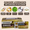HERBOGANIC Ginger Lozenges Leaf of 6, 20 Packs per Box