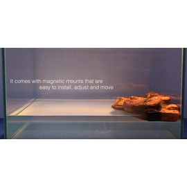 PETSOOO Turtle Basking Platform Floating Platform Turtle Dock Resin Turtle Magnetic Platform Unique Floating Island for Semi Aquatic Animals Resin Island Aquarium Decor (NS-78) 16 * 10.5 * 3cm