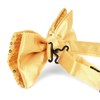Men's Pre-Tied Shiny Sequin Banded Bow Ties - Fancy Bowties