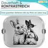 TAKWAY Children's Stainless Steel Lunch Box with Compartments, 800 ml,