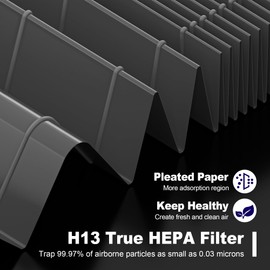 PETOX 115115 HEPA Smoke Remover Replacement Filter A for Winix PlasmaWave Air Purifier C535 5300 5300-2 6300 6300-2 P300 AM90 C909 9800, 2 x True HEPA Size 21 Filter + 8 x Carbon Pre-Filters, Black