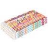 Birthday Pencils 48 Pack #2 HB with Eraser Kids Party